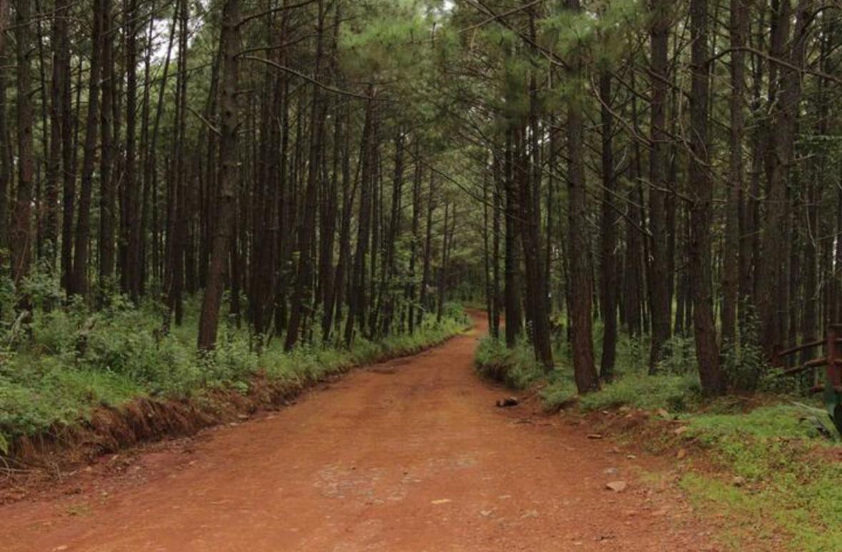 Los Venados Mazamitla Esterno foto